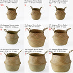 Grid showing the belly basket in eight sizes labeled A to H