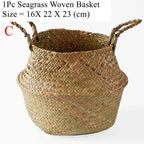 Size C seagrass belly basket shown on a plain background