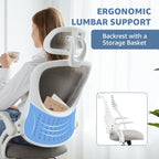 Feature panel showing the lumbar curve against a seated woman and the basket on the backrest