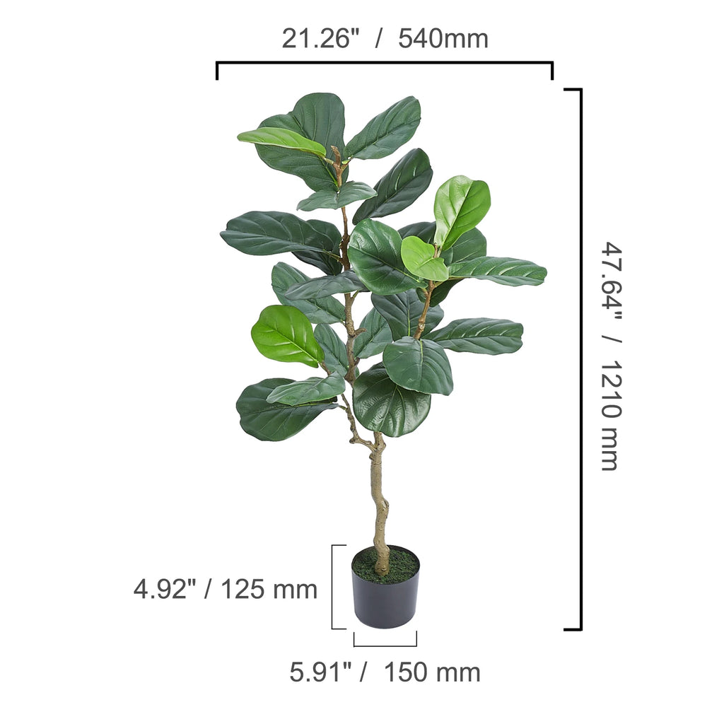 Spec drawing of the small fiddle leaf tree, 121 cm / 47.6 in tall in a black pot