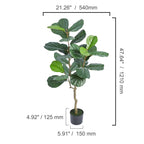 Spec drawing of the small fiddle leaf tree, 121 cm / 47.6 in tall in a black pot