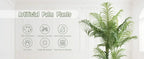 Icon panel headed artificial palm plants with fronds filling the right side