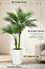 Size callouts giving the palm as 153 cm / 60.2 in tall and 75 cm / 29.5 in wide