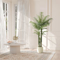 Areca palm by sheer curtains next to a round white coffee table on a rug