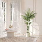 Areca palm by sheer curtains next to a round white coffee table on a rug