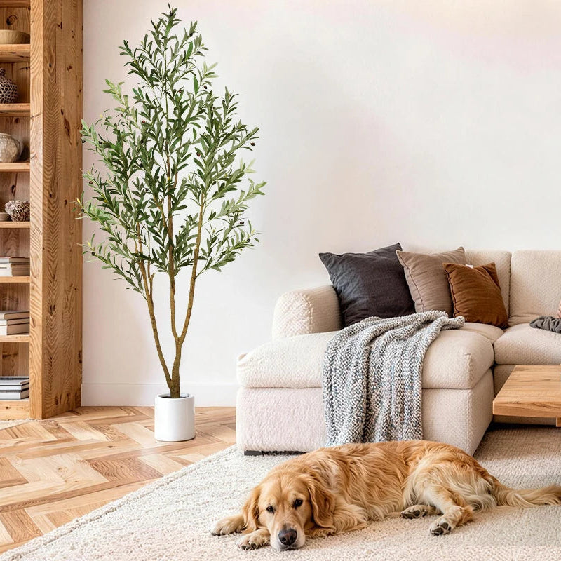 Artificial olive tree beside a cream sofa with pillows and a shelf unit