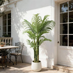 Areca palm outdoors against a white wall beside a glass door and bistro table