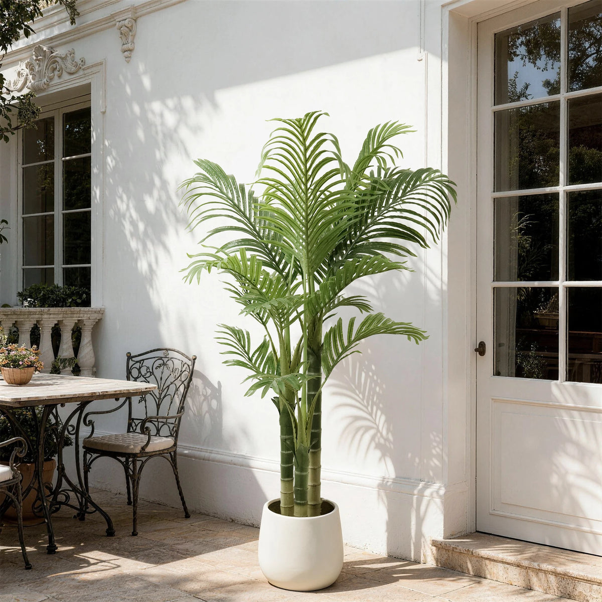 Areca palm outdoors against a white wall beside a glass door and bistro table