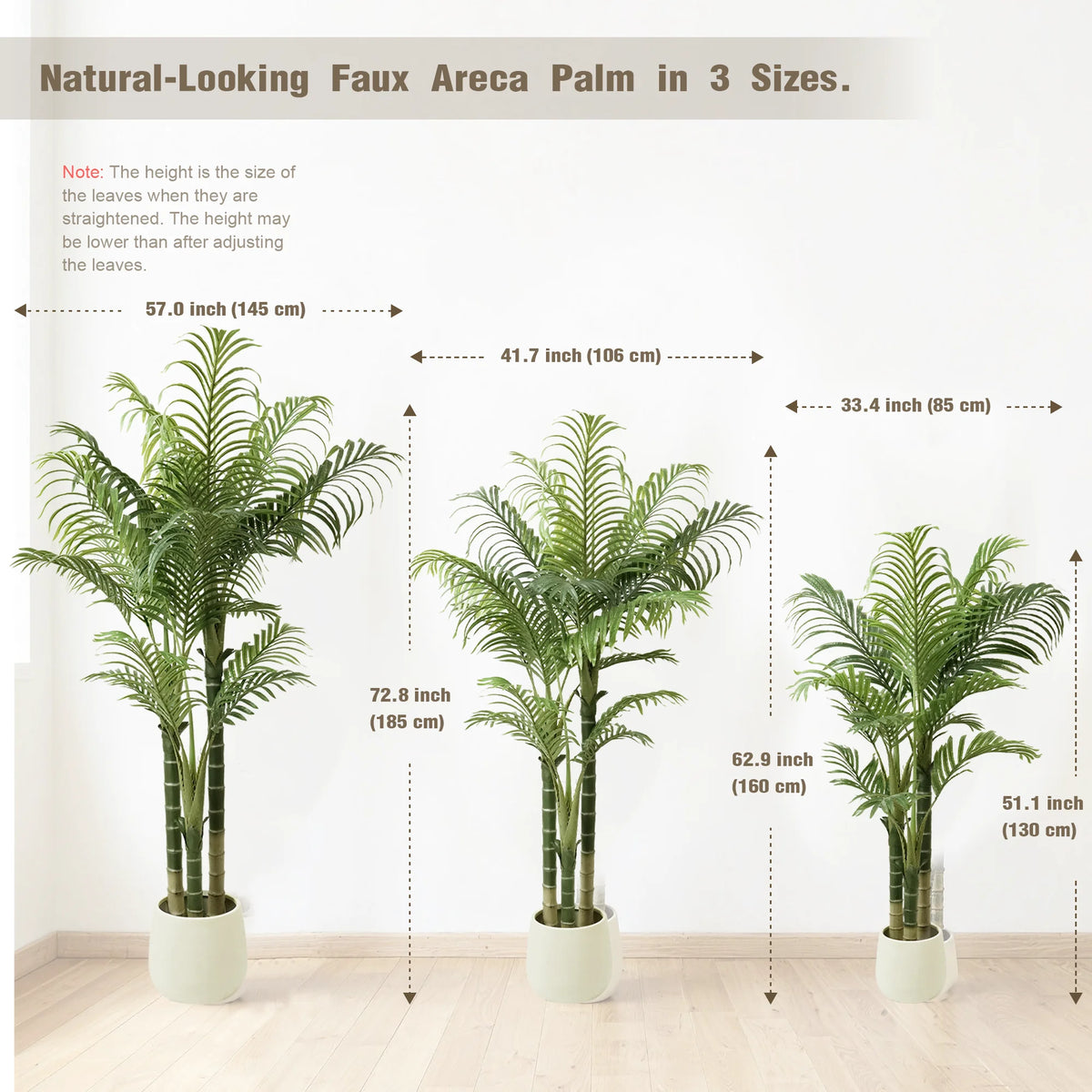 Chart comparing three palm heights, from 130 cm / 51.1 in to 185 cm / 72.8 in