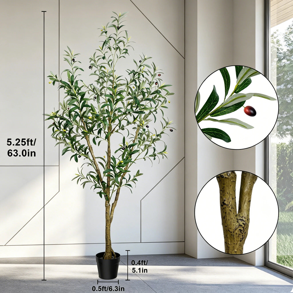 Callout view with leaf and trunk close ups beside a 160 cm / 63 in height mark