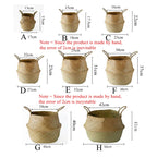 Size chart giving the width and height of every belly basket size