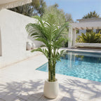 Artificial palm in a white planter on a poolside patio beside a white wall