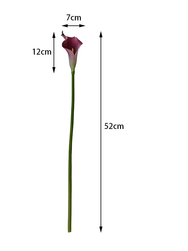 Spec drawing of one calla stem, 52 cm / 20.5 in long with a 12 cm / 4.7 in bloom