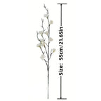 Single white blossom branch on a plain background labeled with its stem length