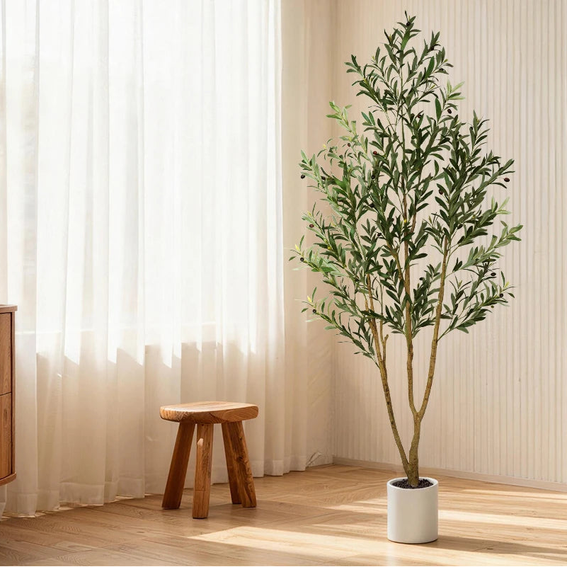 Olive tree in a white planter by sheer curtains beside a small wooden stool