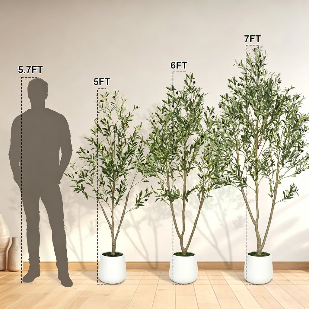 Silhouette chart comparing three tree heights against a standing person
