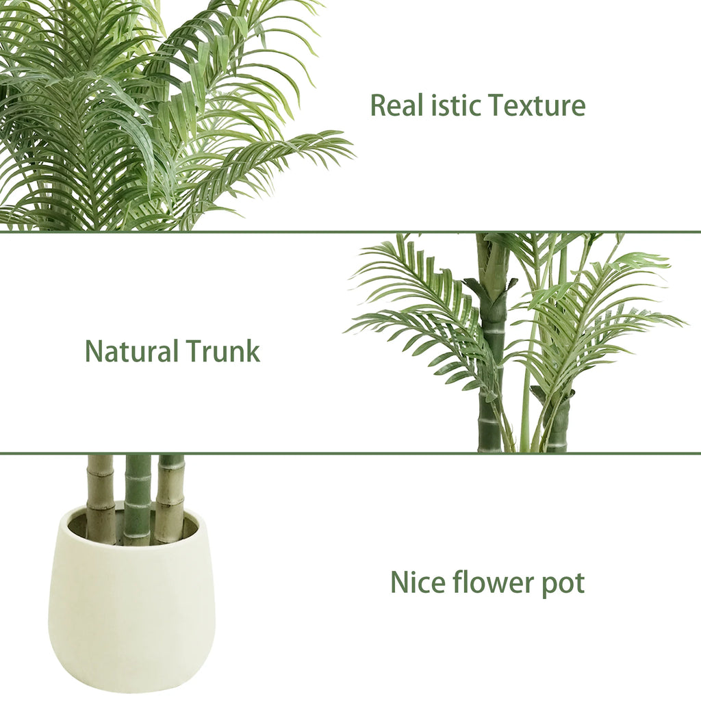 Labeled close ups of the frond texture, the trunks and the cream flower pot