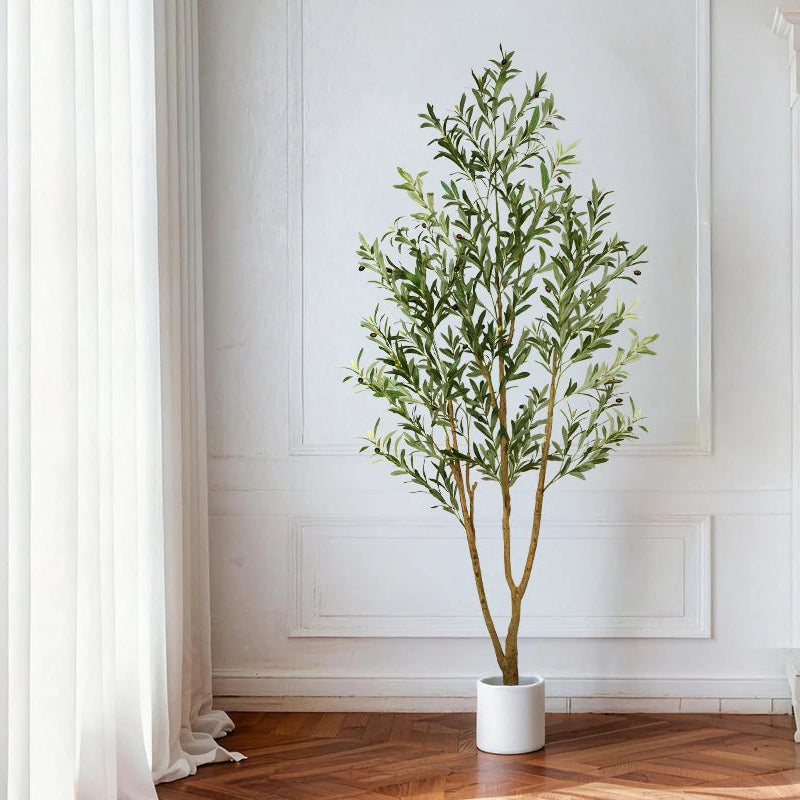 Slim olive tree in a white pot against a paneled wall beside a curtain