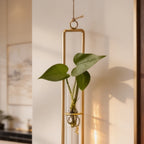 Wall hanging propagation vase