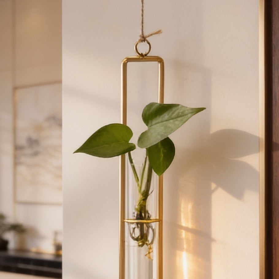 Wall hanging propagation vase