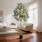 Artificial tree in a black pot by a window with white sofas on a wood floor