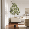 Slim potted tree in a paneled living room beside a cream sofa and window