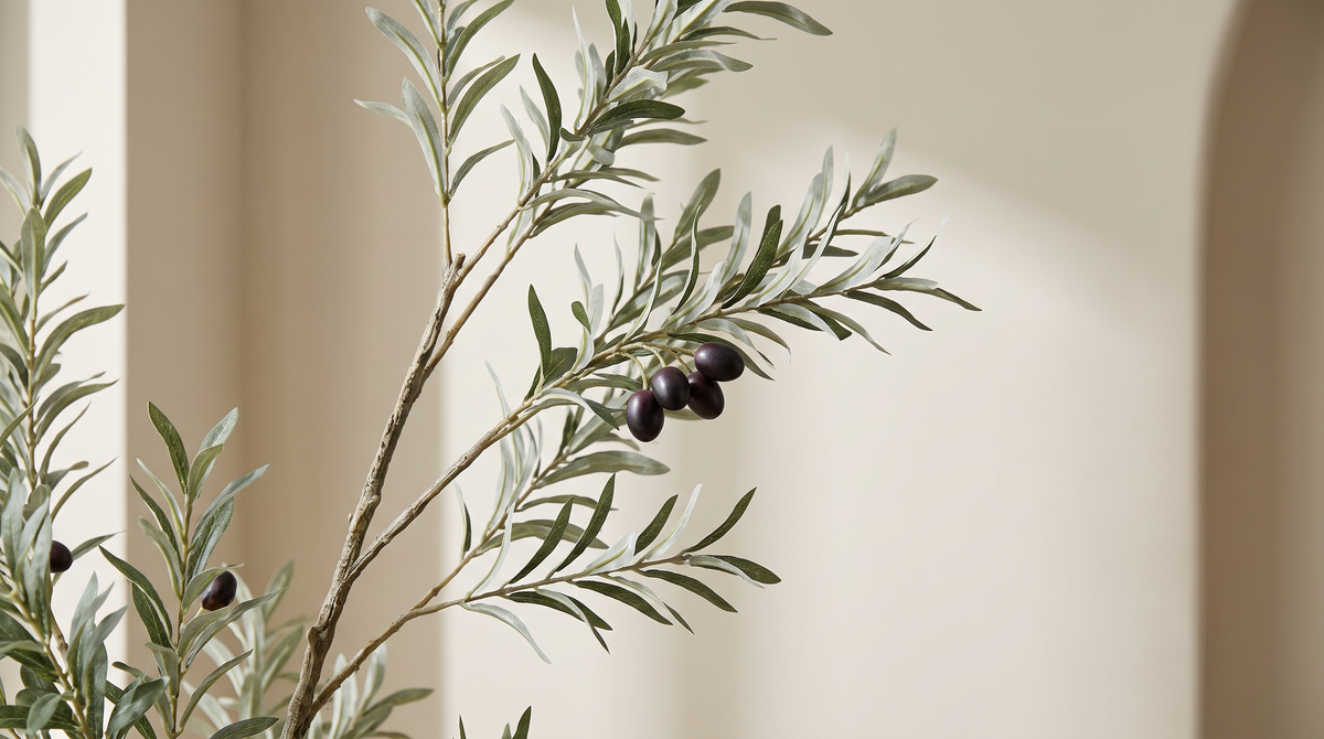 Close detail of silvery olive leaves and dark olives on a branch