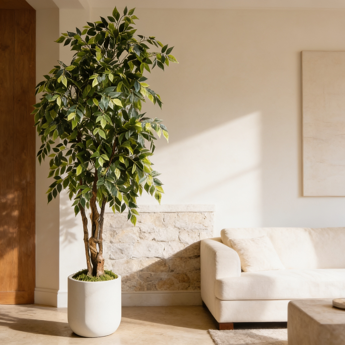 Faux ficus in a white pot against a stone wall with sunlight across the sofa