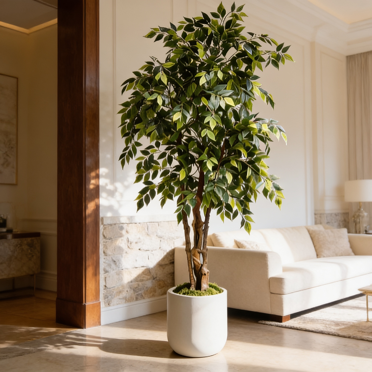 Ficus tree between a stone wall and a wood beam next to a cream sofa