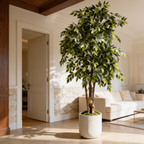 Artificial ficus near a doorway in a bright room with a white sofa