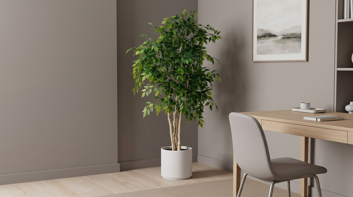 Faux ficus in a white planter in a dim office corner