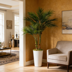 Artificial areca palm in a tall white pot in a room with framed art and a chair