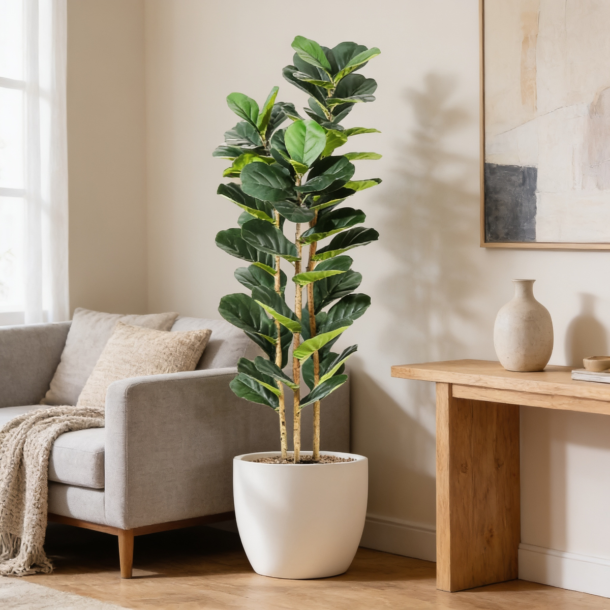 Fiddle leaf fig by a gray sofa and a wood console holding white vases