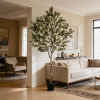 Olive tree in a black pot in front of framed art beside a sofa and vases