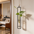 Black framed hanging tube with a trailing vine on a bedroom wall
