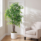 A 5.5 ft faux ficus with small oval leaves in a white cylindrical planter beside a cream armchair in a sunlit corner.